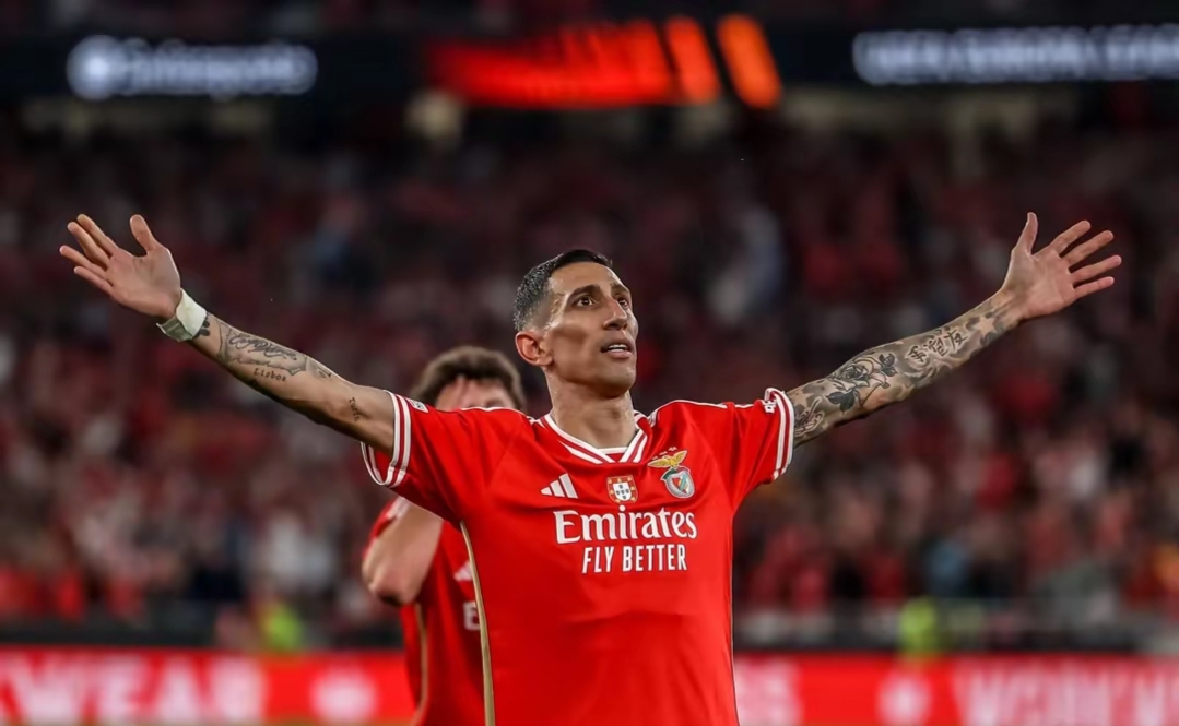 包含社区盾今晚再迎强敌，本菲卡远射贴柱，主帅态度：气氛紧张，临场指挥获称赞的词条